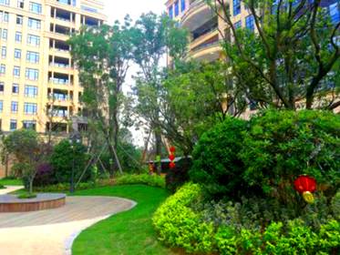 广元别墅园林设计改造新的服务-成都中峰园林绿化工程有限公司